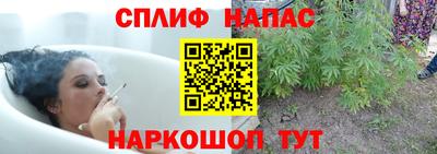 mdpv Можайск