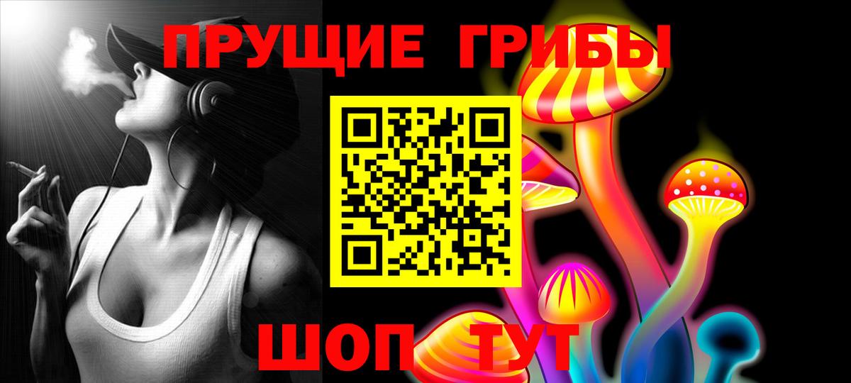 Псилоцибиновые грибы Psilocybe Владимир
